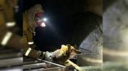 Bomberos rescatan a un perro que llevaba un mes atrapado en un conducto de alcantarillado