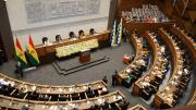 La Asamblea Legislativa adelanta su sesión para abordar la aprehensión de Roger Mariaca