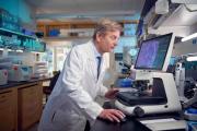 La ingesta de azúcar incrementa los efectos nocivos de los antibióticos durante su toma