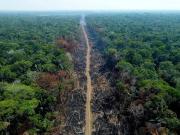 En las elecciones de Brasil también se disputa la supervivencia de la Amazonia