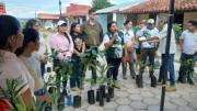 Ascensión de Guarayos: Alcaldía pone en marcha programa de arborización urbana