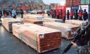 Daño a exportadores de madera activa reclamos contra Chile y al Gobierno