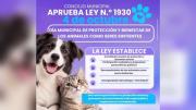 Día de los animales: Concejo aprueba ley; conozca las actividades de este domingo