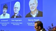 Nobel de Medicina para un estadounidense y dos alemanes por estudios sobre control de células nerviosas con luz