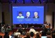 Premio Nobel de Medicina para Karl Deisseroth, Peter Hegemann y Georg Nagel por la técnica que permite controlar el cerebro con luz