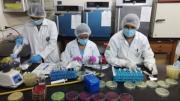 Senasag admite que no tiene capacidad para realizar análisis multiresiduo de plaguicidas
