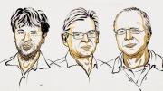 La optogenética permite hacer experimentos que ayer eran considerados ciencia ficción