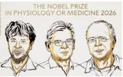 El premio Nobel de Medicina fue otorgado a Karl Deisseroth, Peter Hegemann y Georg Nagel por el uso de la luz para estudiar las células y las neuronas