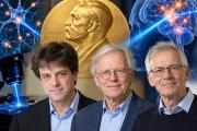 Nobel de Medicina premia avances en optogenética