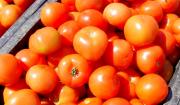 INFLACIÓN DE SEPTIEMBRE CERRÓ EN 0,85% Y EL ACUMULADO ANUAL LLEGA A 3,88%
