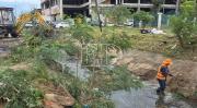 Basura y sedimentos redujeron hasta la mitad la capacidad de los canales de drenaje en Santa Cruz