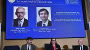 El francés Henri Kagan y el japonés Kenso Soai ganan el premio Nobel de Química