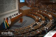 Cámara de Diputados sancionó proyecto de ley sobre pasajes aéreos solidarios para pacientes críticos