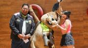 San Antonio realizará su primer Día del Peatón este domingo con actividades culturales y deportivas