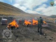 FELCN incinera más de 172 kilos de marihuana y pasta base de cocaína en Oruro