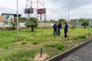Un total de 761 árboles nativos se suman a las áreas verdes de Santa Cruz