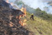 Santa Cruz acumuló 153 incendios forestales