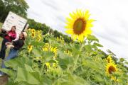 Agro Vidas 2026 abre con más de 400 empresas y la pitahaya entre sus novedades
