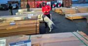 Caso Maderas: exportadores denuncian pérdidas por más de $us 50 millones antes de la visita de Kast