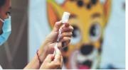 Influenza tipo B predomina en La Paz en medio del aumento de las infecciones respiratorias