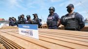 Exportadores esperan acceder a pruebas de la madera incautada en la audiencia en Chile