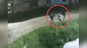 Ladrones en moto asaltan a dos mujeres en Mineros