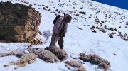 Tras declaratoria de emergencia en cuatro departamentos, gobierno evalúa una alerta nacional por El Niño