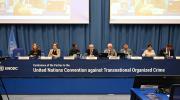 Bolivia y otros siete países latinoamericanos impulsan que la ONU cree un protocolo sobre delitos ambientales
