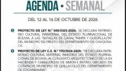 Diputados agenda proyectos de ley sobre declaraciones patrimoniales y no prioriza debate sobre acefalías en el TCP