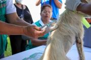 Campaña de vacunación movilizará a 18.000 personas en Santa Cruz