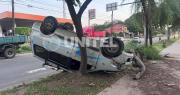 Vehículo queda volcado tras chocar contra una palmera; el conductor quedó herido