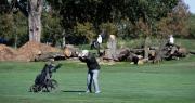 ¡Déjenos en paz!: Golfistas de Washington temen perder su campo por remodelación de Trump