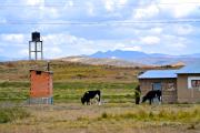 Programa de Saneamiento Rural incluirá educación sobre el uso de los sanitarios