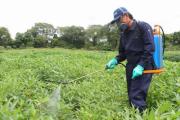 SENASAG capacita a productores de Tarija en el uso seguro de agroquímicos