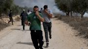 New York Times: colonos israelíes convierten una tradición palestina en una etapa de violencia y temor