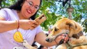 Salud lanza campaña nacional contra la rabia para este fin de semana con más de 3 millones de dosis gratuitas