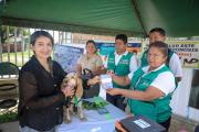 Santa Cruz despliega brigadas para vacunar gratuitamente a perros y gatos