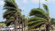 Senamhi emite alerta por vientos moderados a fuertes en cuatro departamentos