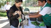 ¿No vacunaste a tu mascota? Santa Cruz amplía la campaña antirrábica por tres semanas