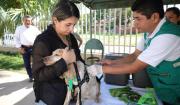 Santa Cruz vacunó a 656.833 perros y gatos y refuerza la lucha contra la rabia