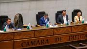 Ávila va por la reelección en el Senado con respaldo del PDC; en Diputados hay dos posibles candidatos