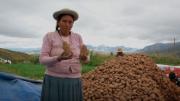 “Doctoras de los suelos”, la agricultura con rostro de mujer