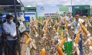 Anapo demanda pacto productivo al Gobierno para garantizar el abastecimiento de alimentos