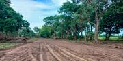 La lluvia favorecío los trabajos de movimiento de tierra en la pista del autódromo de Montero
