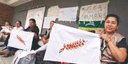 TED y dos pueblos indígenas ponen fin a tres días de huelga y protesta por curules